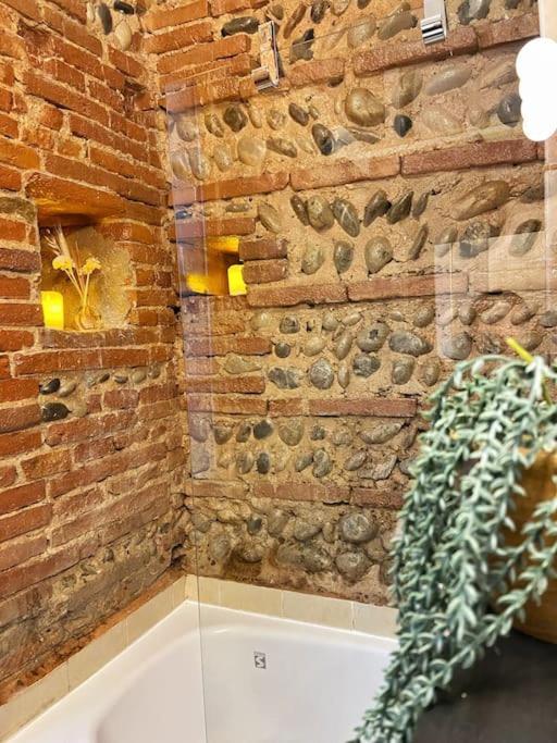 Cocon Cosy Dans La Ville Rose Toulouse Luaran gambar