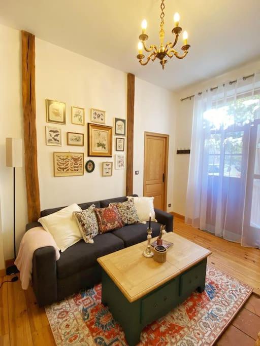 Cocon Cosy Dans La Ville Rose Toulouse Luaran gambar