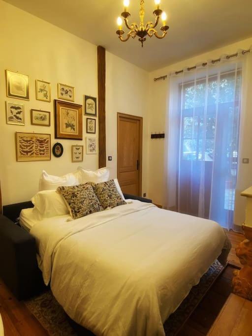 Cocon Cosy Dans La Ville Rose Toulouse Luaran gambar