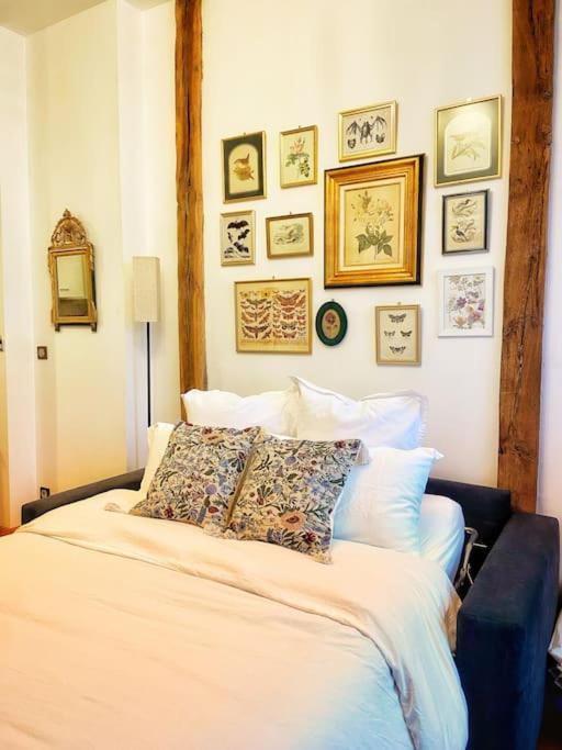 Cocon Cosy Dans La Ville Rose Toulouse Luaran gambar